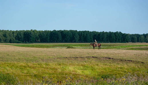 俄罗斯中部的草地田野和树林。 南图门地区。 骑马的骑手。