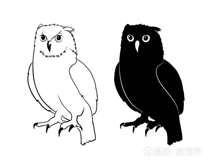 猫头鹰手绘轮廓涂鸦风格猫头鹰鸟象征智慧矢量素描插图设计打印网页
