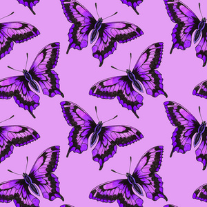 蝴蝶飞蛾昆虫动物飞。 与蝴蝶无缝图案。 墙纸。 玫瑰甘菊野花花。