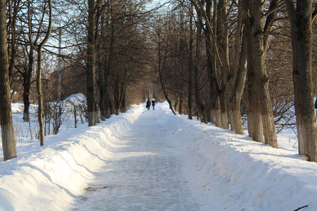 冬天森林里的路冬天森林里的路的照片。这条路被雪清除了。人们可以在寒冷的日子里行走，呼吸干净的空气。一年中霜冻的美丽景观。