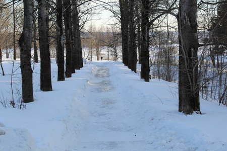 冬天森林里的路冬天森林里的路的照片。这条路被雪清除了。人们可以在寒冷的日子里行走，呼吸干净的空气。一年中霜冻的美丽景观。
