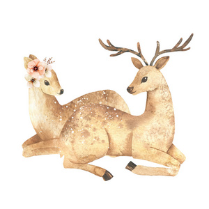 水彩可爱的插图与鹿相爱。 适合爱情卡情人节贺电设计。