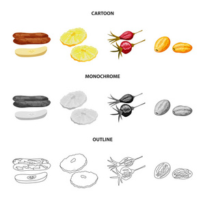 食物和生的标志的孤立对象。集食品和自然载体图标为股票