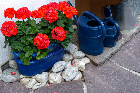 房子周围的区域装饰着红色的天葵, 在锅和水罐