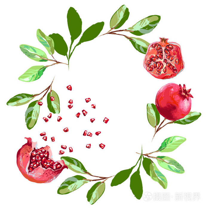插画 带有种子和叶子的水彩石榴的矢量圆形框架.