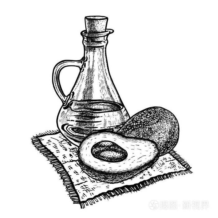 鳄梨油手绘素描向量例证