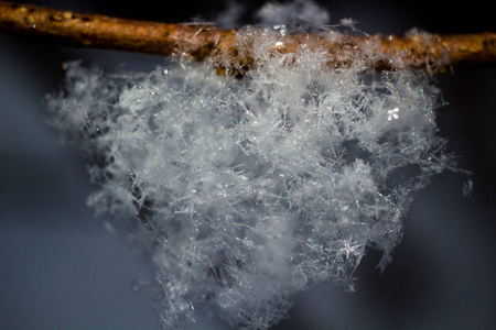 白色雪花在大自然中特写.