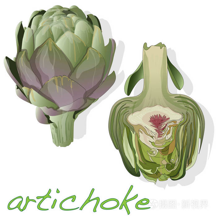 洋蓟在板矢量插图集. 在白色背景上隔离的图像.