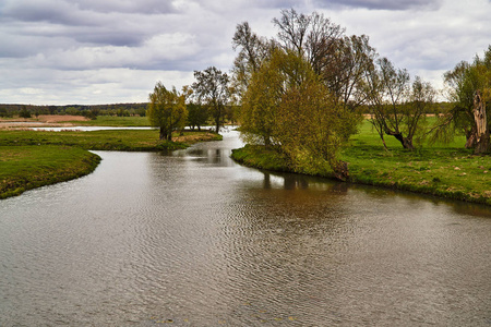 波兰瓦尔塔河河口沼泽的草地和后水