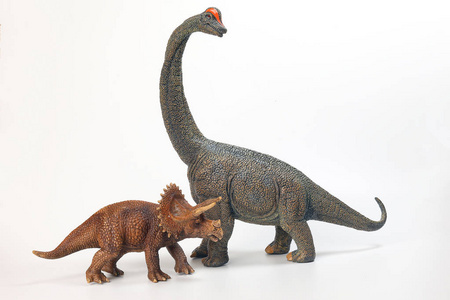 白色背景下的腕龙恐龙玩具雕像