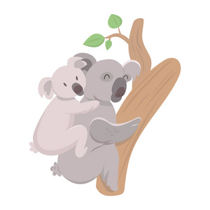 考拉熊和婴儿在白色背景上爬树。 可爱的考拉妈妈背着她的孩子。 家长概念。