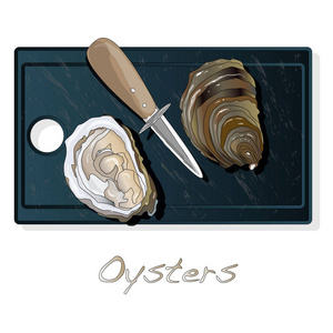 新鲜打开的牡蛎矢量图像设置在盘子盘子上，隔离在白色背景上。