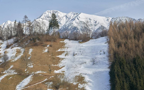 冬天的雪和山景