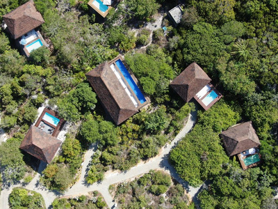 热带森林带游泳池的豪华别墅的鸟瞰图。 私人热带别墅，游泳池，热带花园，棕榈树旁边的海岸。 巴西巴伊亚