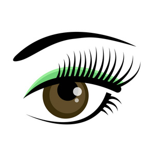 美丽的棕色女性眼睛与睫毛, 眉毛和绿色阴影查出在白色背景.