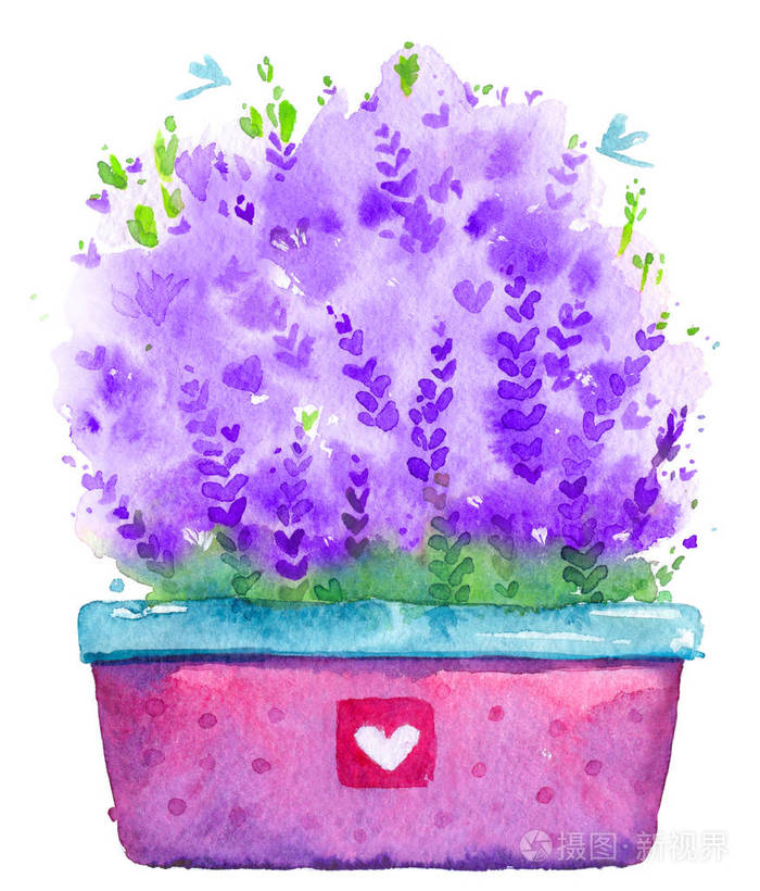 紫罗兰花在壶中春天礼物贺卡水彩