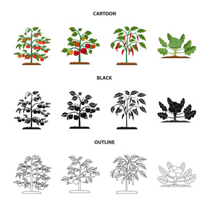 温室和植物图标的矢量设计。一套温室和花园矢量图标的股票