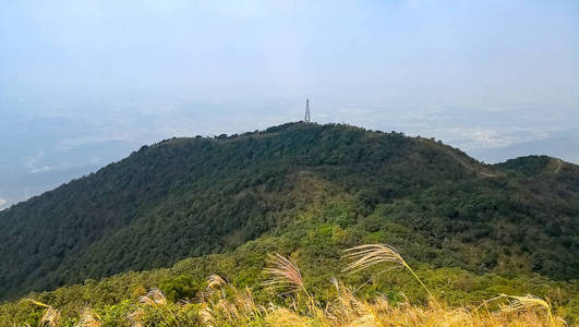 从深圳澳门山景