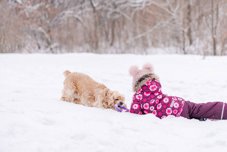 女孩子在冬天和公鸡猎犬玩。 小女孩在户外玩公鸡猎犬。