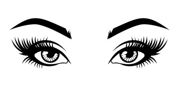 s sexy luxurious eye with eyebrows and full lashes.