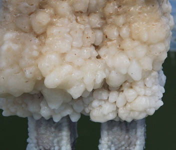 死海的盐晶,中东的一个内陆咸水湖,位于以色列约旦和巴勒斯坦权力机构