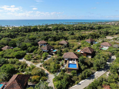 热带森林带游泳池的豪华别墅的鸟瞰图。 私人热带别墅，游泳池，热带花园，棕榈树，蓝色的海洋和海岸的背景。 巴西巴伊亚