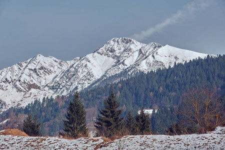 冬天的雪和山景