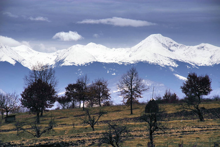 罗马尼亚国家公园里的冬季高山景观。 白雪覆盖的草地风景