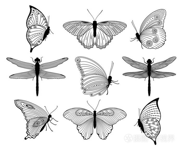 插画 矢量集装饰孤立轮廓蝴蝶和蜻蜓在白色背景. 用于设计的插图.eps
