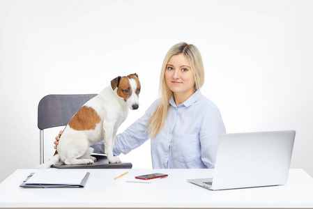 年轻的金发白种人女人直视着她的杰克罗塞尔猎犬，坐在办公室的桌子旁，背景是白色的。 狗看向别处。 铝笔记本电脑，红色玻璃手机和文件