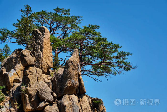 韩国seoraksan 国家公园松树和岩石悬崖