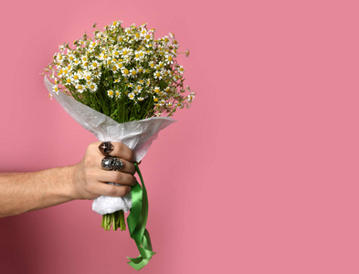 洋甘菊花束图片