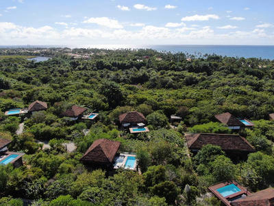 热带森林带游泳池的豪华别墅的鸟瞰图。 私人热带别墅，游泳池，热带花园，棕榈树，蓝色的海洋和海岸的背景。 巴西巴伊亚