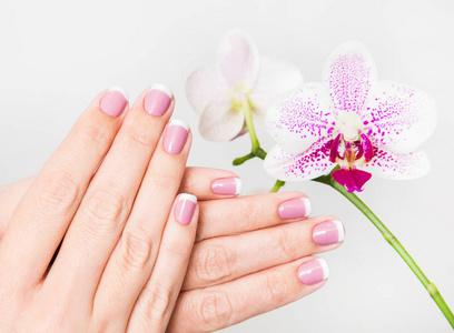 美丽的法国白色和粉红色指甲。 女人握着美丽的手，靠近白色背景上孤立的兰花花。 水平彩色摄影。