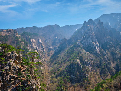 韩国 seoraksan 国家公园松树和岩石悬崖