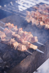 在烤架上烤腌制的沙什利克。shashlik 是一种在欧洲和其他地方流行的 shish 烤肉串