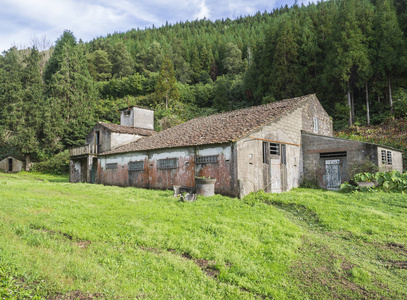 被遗弃的农舍建筑在绿色森林的中间, 圣米格尔, 亚速尔, 葡萄牙。晴天