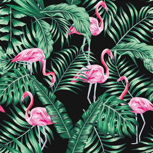 绿色热带棕榈香蕉叶和美丽的雀鸟粉红色火烈鸟在黑色背景上的无缝矢量图案。