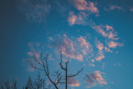 黄昏的天空，黄昏的夕阳，深蓝的风景