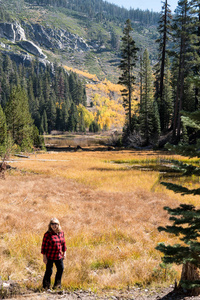 秋天，金发女性中年徒步旅行者在索彻湖摆姿势，树叶上有秋天的颜色。 位于内华达山脉东部的加利福尼亚猛犸湖附近，阳光明媚