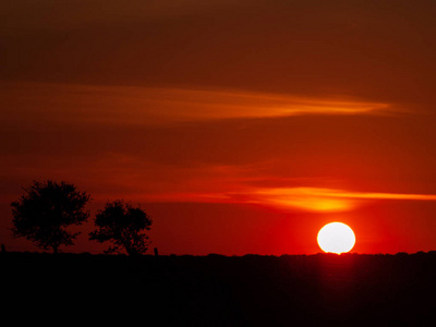 日落时浪漫的橙色天空，在德赫萨和树的轮廓中很少有云和化学痕迹