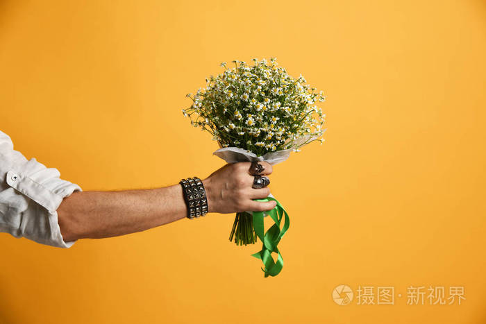 人手拿着洋甘菊花花束为春天3月8日妇女天庆祝