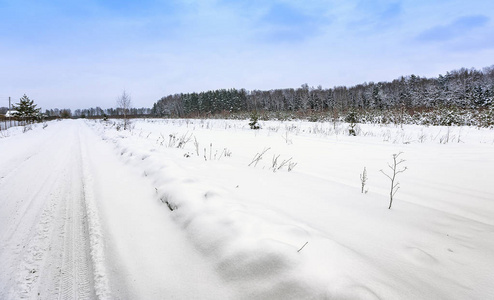 莫斯科地区白雪覆盖的树林上的路