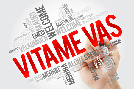 vitame vas欢迎使用捷克语词云在不同语言中的概念背景和标记照片