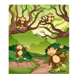 野生森林插图中的猴子