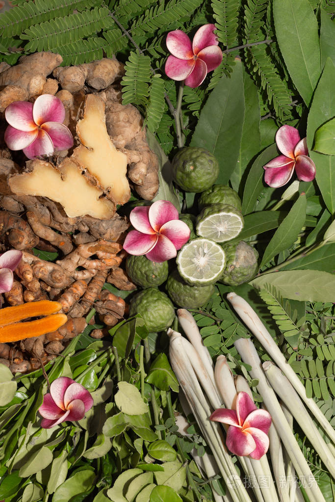 阿育吠陀草药. 印度. 2017