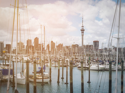 游艇在奥克兰海港，城市天际线和奥克兰天空塔，奥克兰的标志性地标新西兰。