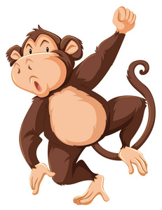 白色背景插图中的猴子角色