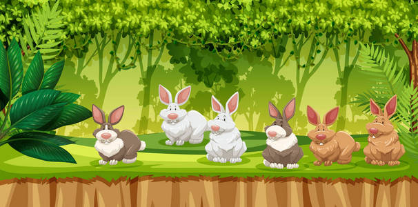 兔子在丛林场景插图