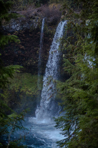 瀑布在清新绿色的森林里图片